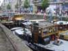 dsc01446_small.jpg