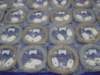 dsc01211_small.jpg