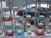 dsc01212_small.jpg