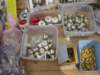 dsc01214_small.jpg