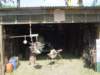 dsc00329_small.jpg
