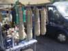 dsc00348_small.jpg