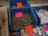dsc00644_small.jpg