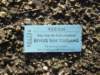 dsc00668_small.jpg