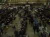 dsc00352_small.jpg