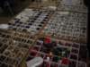 dsc00357_small.jpg