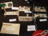 dsc00367_small.jpg