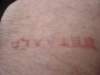 dsc00370_small.jpg