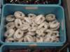 dsc01693_small.jpg