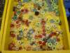 dsc01697_small.jpg