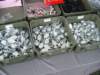 dsc00240_small.jpg