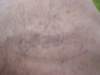 dsc00254_small.jpg