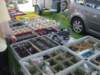 dsc01192_small.jpg