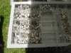 dsc01198_small.jpg