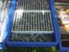 dsc01199_small.jpg