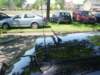 dsc01203_small.jpg