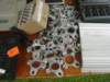 dsc01135_small.jpg