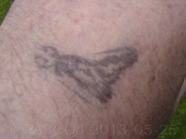 dsc01145.jpg