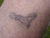 dsc01145_small.jpg