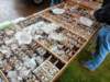 dscn0126_small.jpg