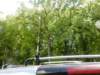 dscn0137_small.jpg