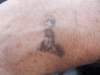 dscn0140_small.jpg