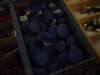 dsc00561_small.jpg