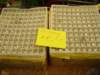 dsc00577_small.jpg