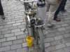 dsc02312_small.jpg