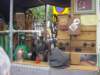 dsc02316_small.jpg