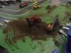 dsc02955_small.jpg