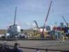 dsc02959_small.jpg