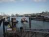 dsc03672_small.jpg