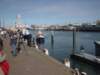 dsc03674_small.jpg