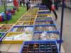 dsc01155_small.jpg