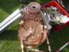 dsc01052_small.jpg