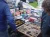 dsc02372_small.jpg