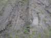 dsc02381_small.jpg