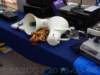 dscn2191_small.jpg