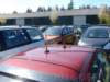 dscn2194_small.jpg