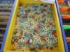 dsc02783_small.jpg