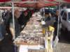 dsc02790_small.jpg