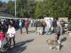 dsc02794_small.jpg