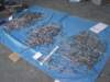 dsc00930_small.jpg