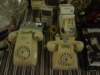 dsc01616_small.jpg