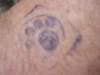 dsc01111_small.jpg