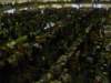 dsc00921_small.jpg