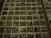 dsc00937_small.jpg