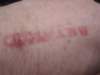 dsc00958_small.jpg