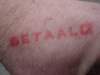 dsc00871_small.jpg